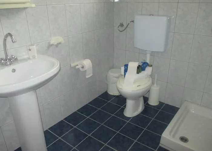 Elena's House Garden *