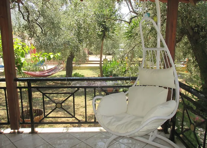 Elena's House Garden