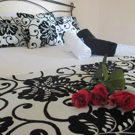 Elena's House Garden *