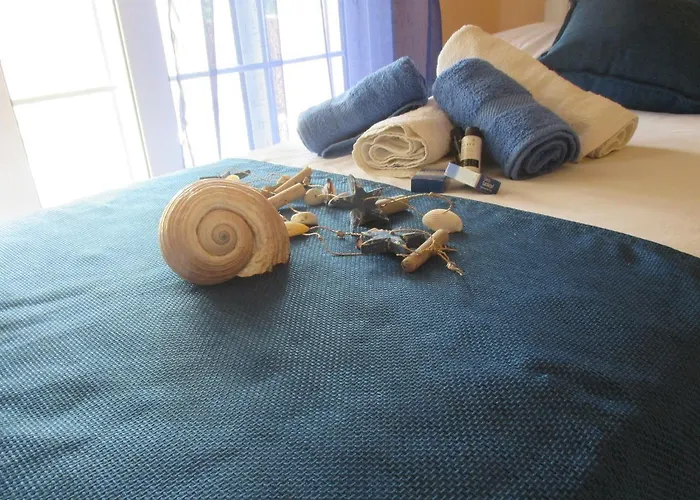 Elena's House Garden *