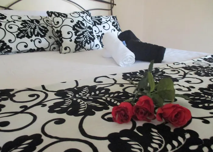 Elena's House Garden *